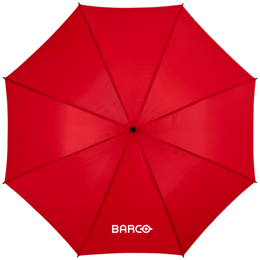 Automatic umbrella