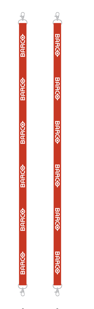 Double hooked lanyard